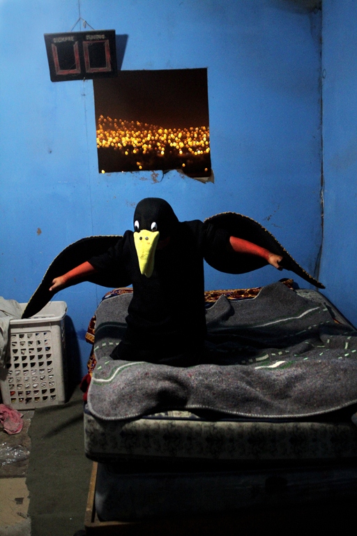 cuervo-paco-chuquiure