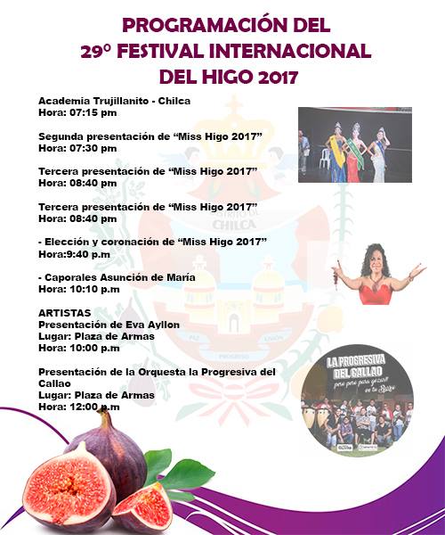 16708328_687336898114397_2234706114421031342_n