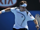 David Ferrer