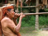 nativo amazonico