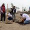 420 familias de San Juan de Lurigancho se beneficiaron con 20 árboles plantados por voluntarios de BanBif